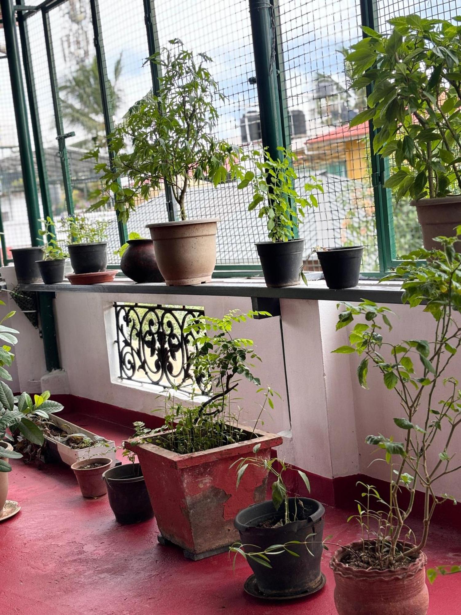 Beza Homestay Kochi Zewnętrze zdjęcie